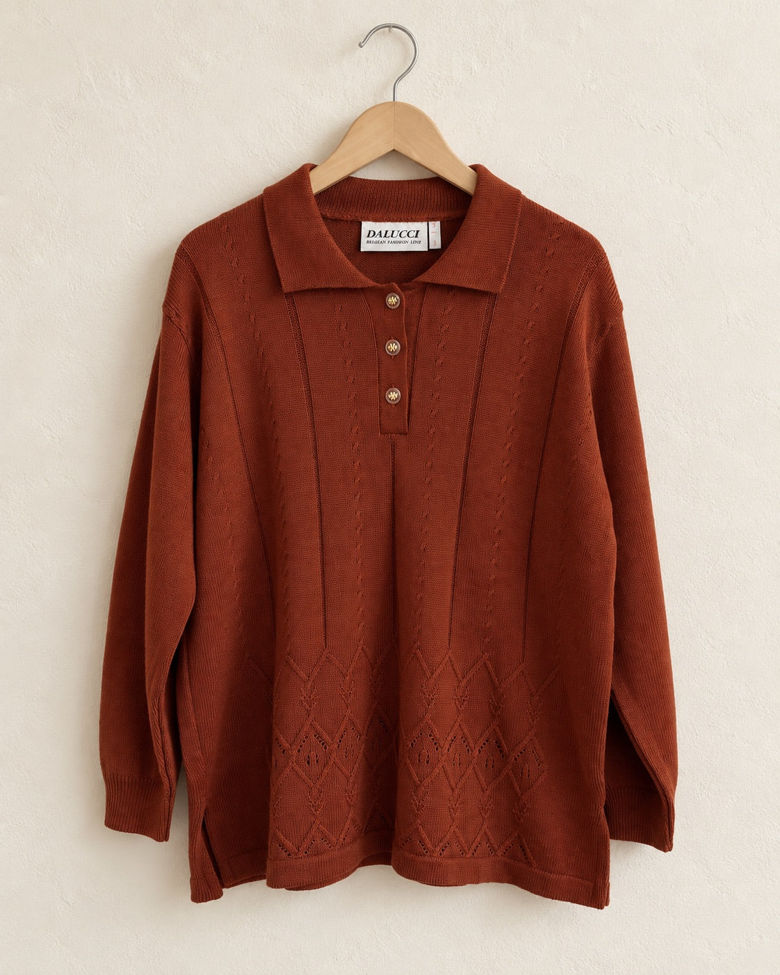 Rust brown collared knit sweater (L)